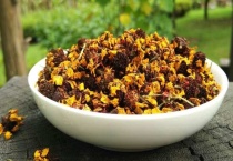 菊花茶和胎菊有啥区别？