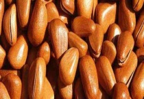 松子产地在哪里 如何挑选松子