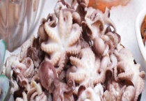 八爪鱼和鱿鱼有什么区别？ 附详细说明