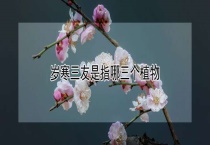 岁寒三友是指哪三个植物