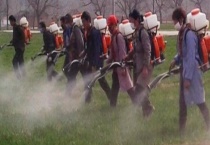 禾草敌、嘧草醚、嘧啶肟草醚稻田除草剂该怎么使用 有什么注意事项吗？