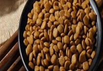狗粮的种类有哪些 附植物性饲料优点