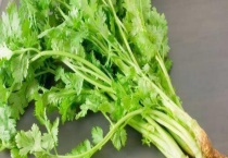 冬季的农业活动有哪些 冬季适合种什么蔬菜