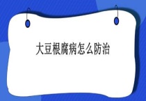 大豆根腐病怎么防治