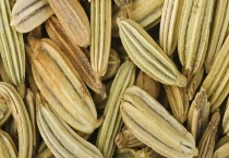 什么是小茴香 和大茴香的区别？有哪些？