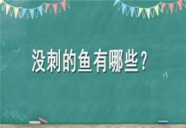 没刺的鱼有哪些？