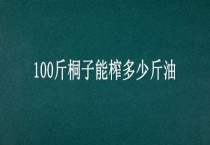 100斤桐子能榨多少斤油