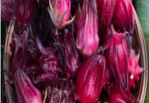 玫瑰茄与玫瑰花有什么不同 从花朵、叶子、果实等方面来区分