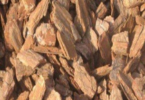 松树皮怎么发酵养兰花