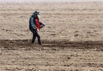 开春播种要注意什么？