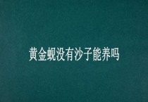 黄金蚬没有沙子能养吗？