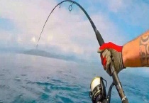 用什么鱼竿钓海鱼 容易钓获的海鱼种类有哪些？