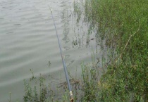 传统钓、台钓和路亚哪个更容易？这三种钓法有什么优缺点