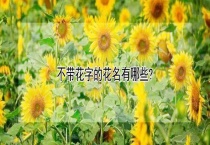 不带花字的花名有哪些？