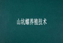 山坑螺养殖技术