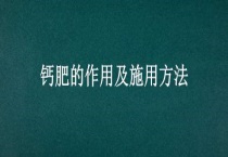 钙肥的作用及施用多久？