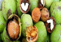 新鲜核桃的皮能不能吃 怎么给新鲜核桃去皮