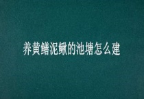养黄鳝泥鳅的池塘怎么建