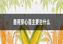 兽用穿心莲主要治什么？