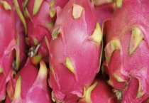 火龙果的原产地在哪 中国的产地主要集中在华南地区