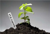 苗木定植假死怎么办？