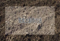 草炭土制作多久？