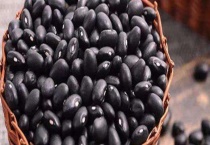 黑豆什么时候种植 附种植多久？