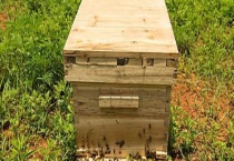 农村简易蜂箱的做法及注意事项 详细如下