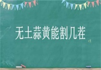 无土蒜黄能割几茬