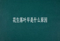花生落叶早是什么原因？
