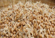 畜禽维生素不足时该怎么配饲料 附配制多久？