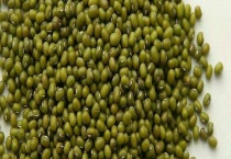 绿豆长虫了怎么办？