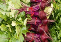 甜菜多少钱一斤 附种植前景和功效作用