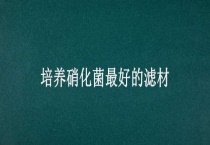 培养硝化菌最好的滤材