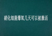 硝化细菌爆氧几天可以被激活
