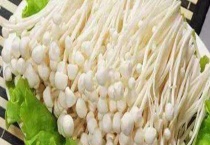 银针菇和金针菇的区别？