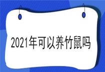 2021年可以养竹鼠吗？