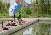 鱼塘死鱼用什么消毒