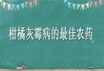 柑橘灰霉病的最佳农药