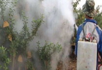 呋喃丹的应急处理处置方法 附防护措施