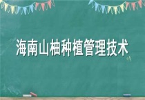 海南山柚种植管理技术