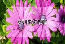 秋天开花的花有哪些？