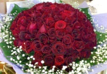 100朵玫瑰代表什么意思