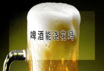 啤酒能浇花吗？