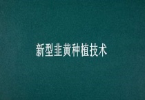 新型韭黄种植技术