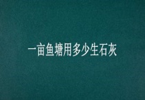一亩鱼塘用多少生石灰