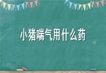 小猪喘气用什么药
