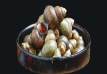 田螺和螺蛳的区别？ 产地分布与贝壳形状的区别？