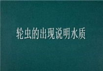 轮虫的出现说明水质