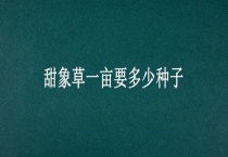 甜象草一亩要多少种子